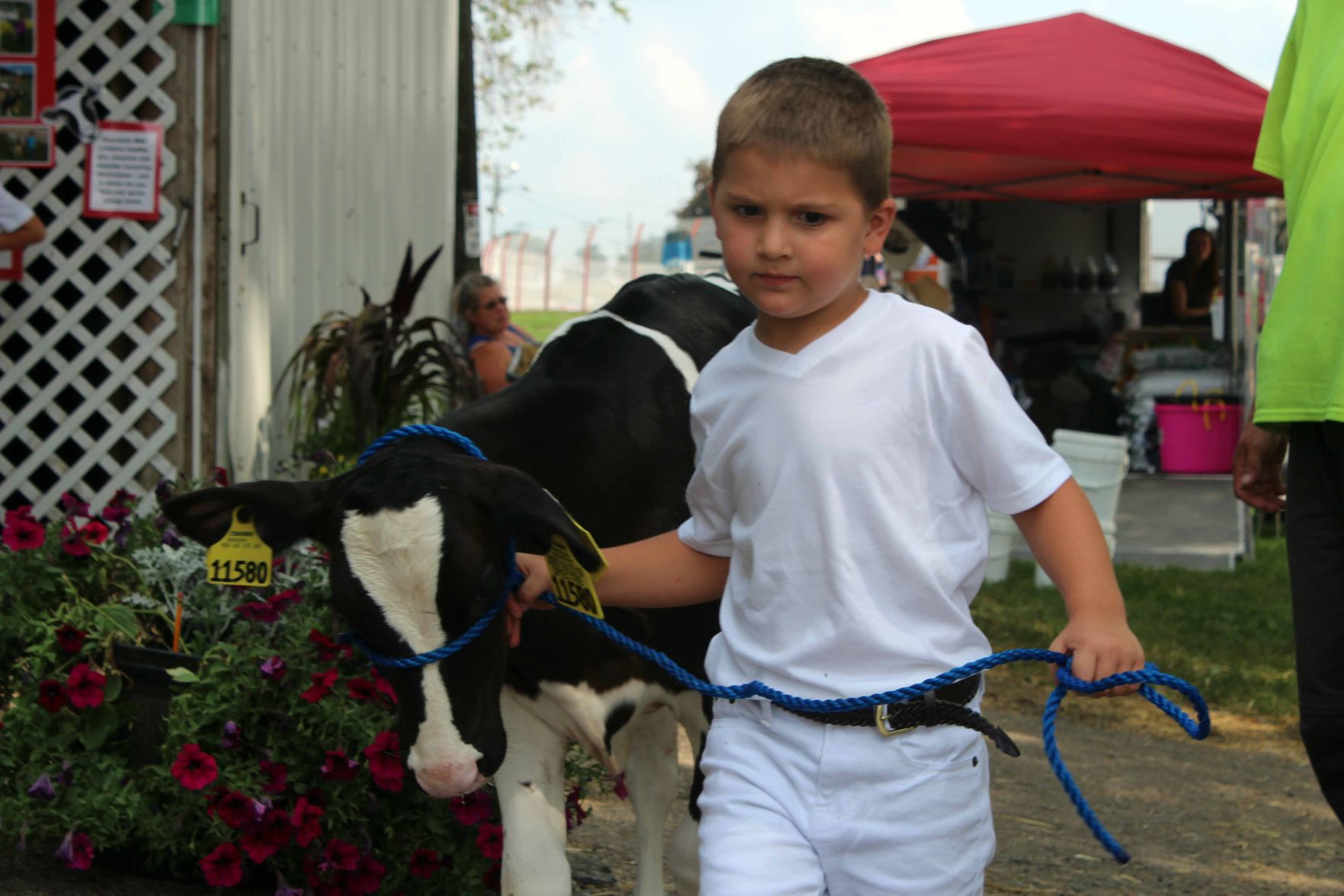 081918-ctzn-news-dod-fair004